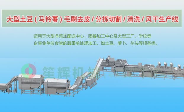 临川连续式土豆去皮清洗切割风干生产线